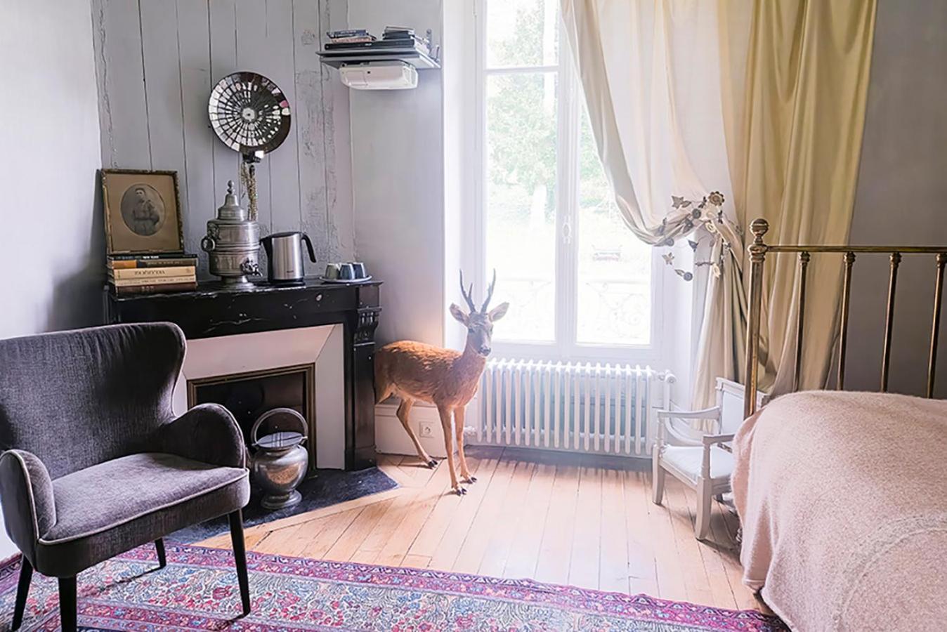 Maison D'Hotes Stella Cadente Provins Ngoại thất bức ảnh